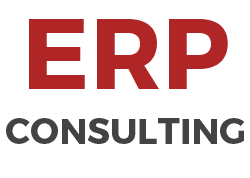 what-is-erp-consulting